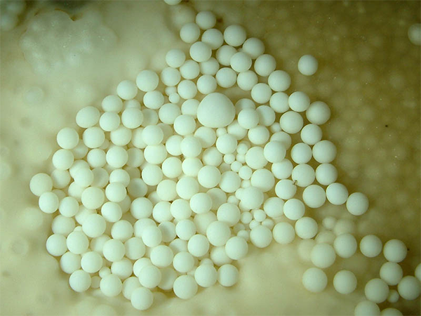 cave pearls