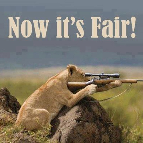 Now it's fair poster