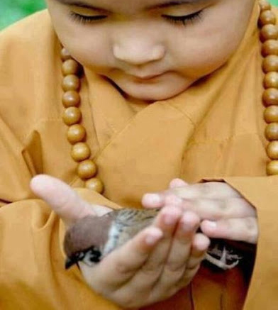 Buddhist child with bird, via thebluebirdpatch.