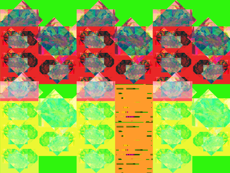 08 0129119 07
