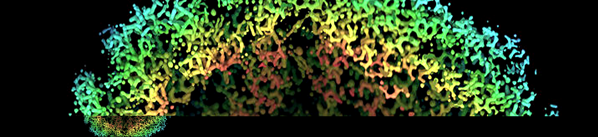 Annals of Imaging, Premiere